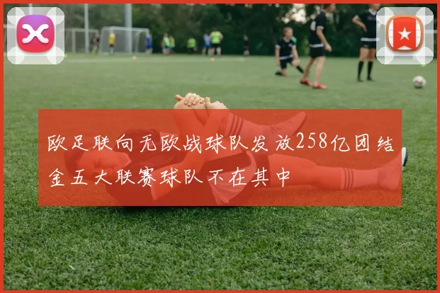 欧足联向无欧战球队发放258亿团结金五大联赛球队不在其中