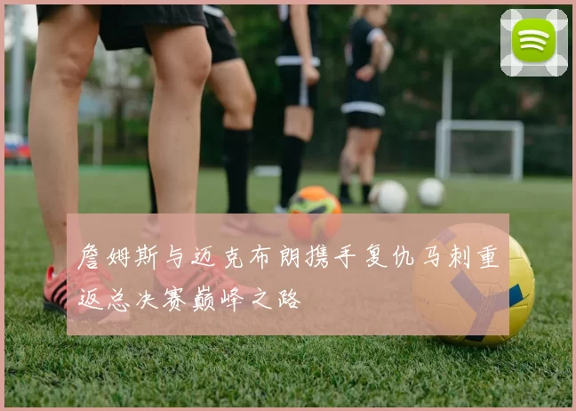 詹姆斯与迈克布朗携手复仇马刺重返总决赛巅峰之路
